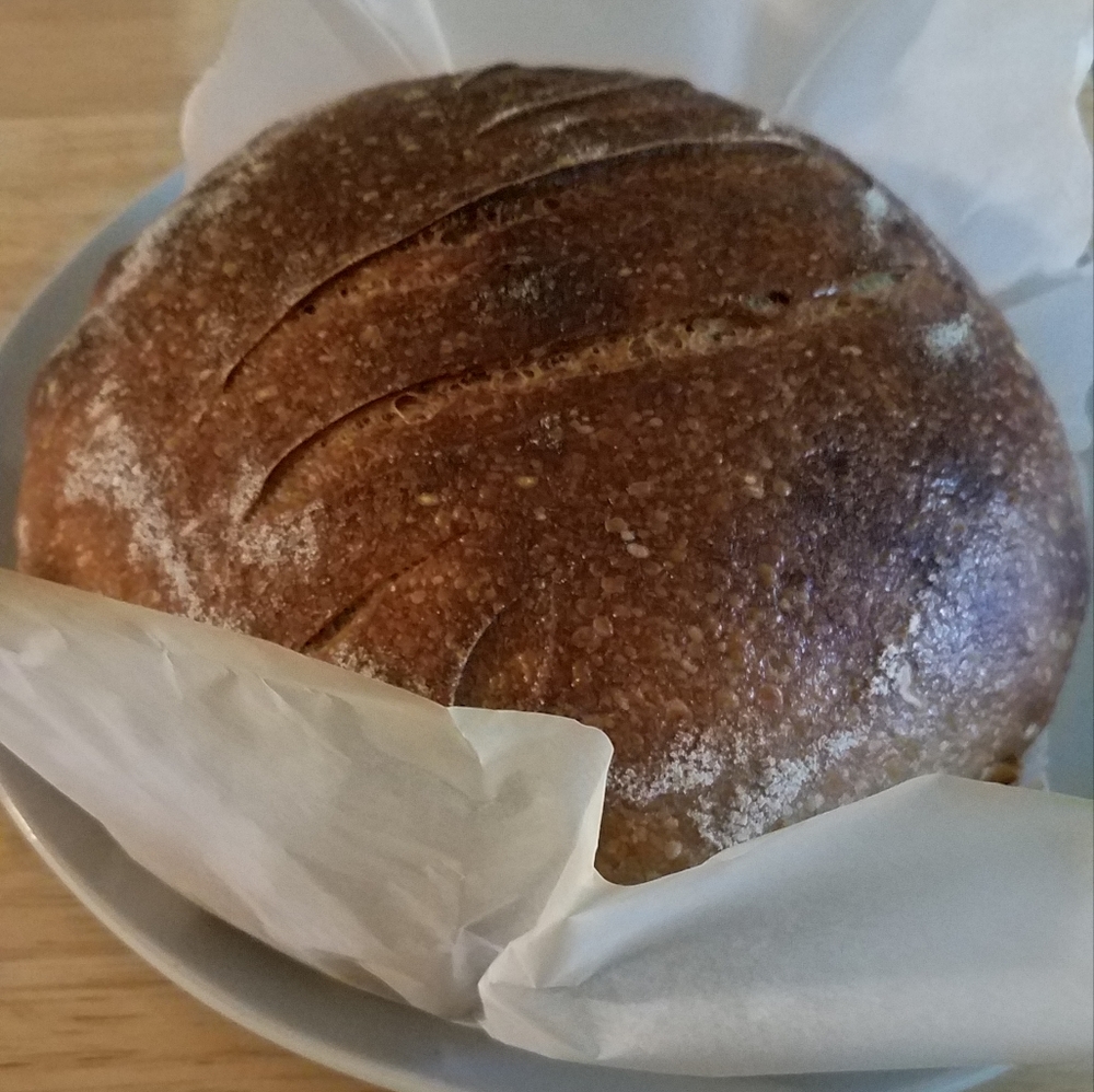 Fresh bread
